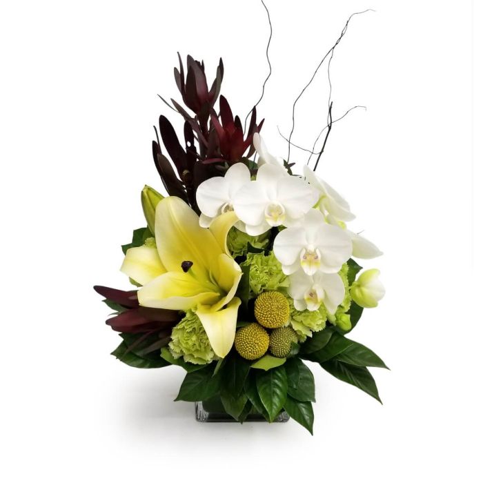 Elegant Lilies